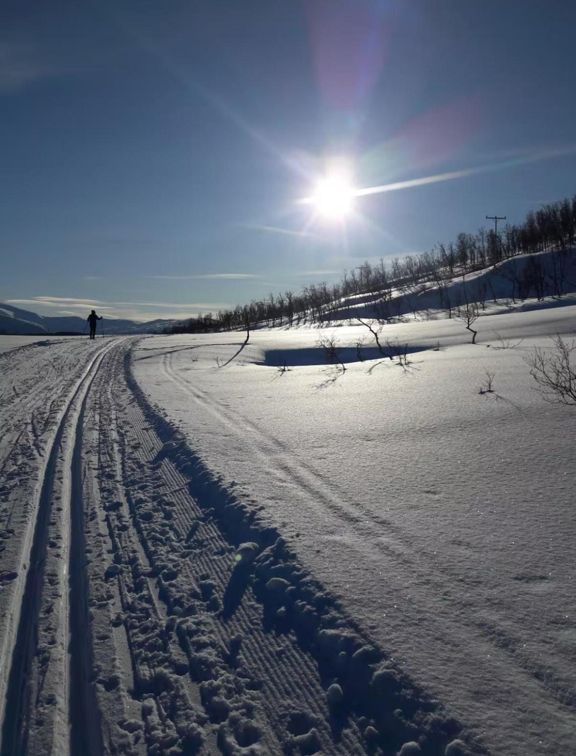 Koselig Leilighet, Naert Sentrum * Tromsø